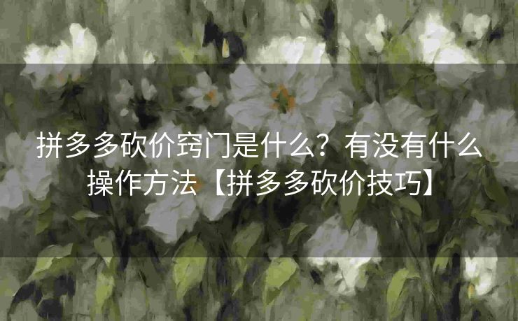 拼多多砍价窍门是什么？有没有什么操作方法【拼多多砍价技巧】
