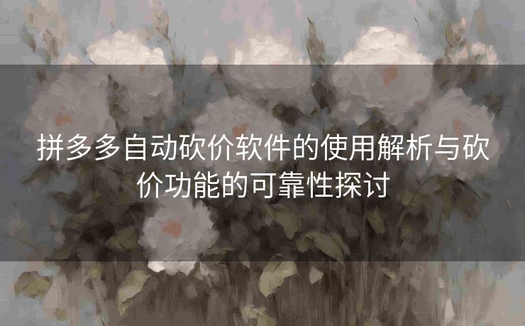 拼多多自动砍价软件的使用解析与砍价功能的可靠性探讨