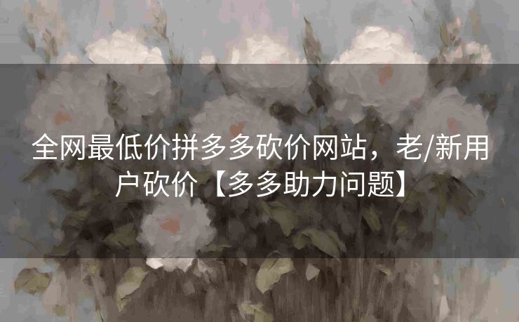 全网最低价拼多多砍价网站，老/新用户砍价【多多助力问题】