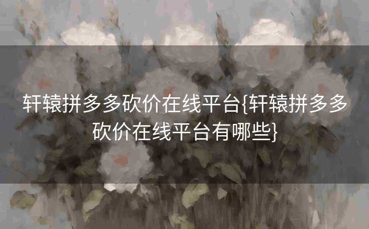 轩辕拼多多砍价在线平台{轩辕拼多多砍价在线平台有哪些}