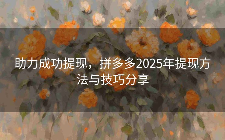助力成功提现，拼多多2025年提现方法与技巧分享