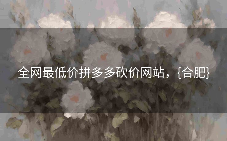 全网最低价拼多多砍价网站，{合肥}