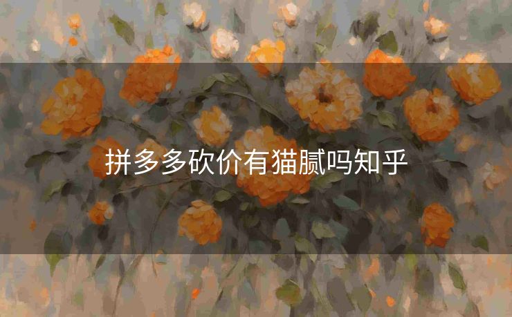 拼多多砍价有猫腻吗知乎