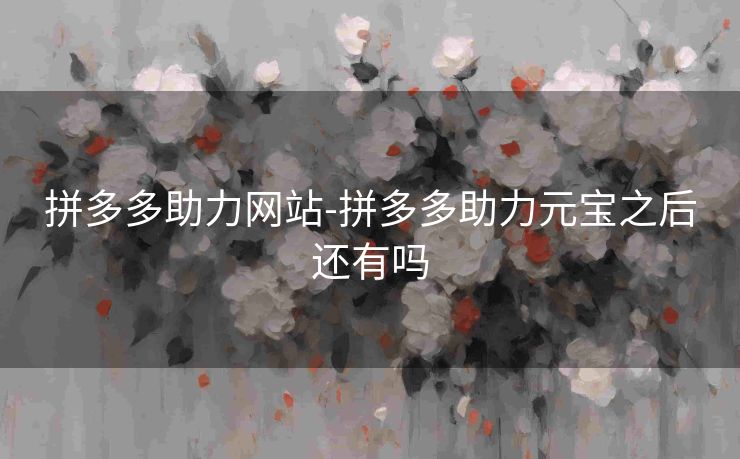 拼多多助力网站-拼多多助力元宝之后还有吗