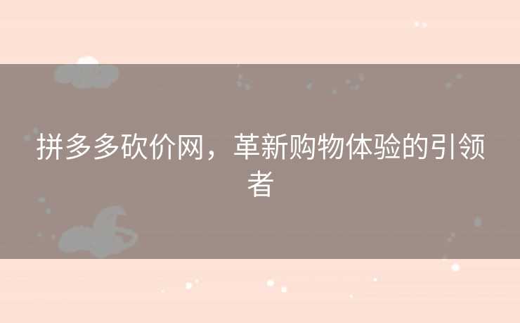 拼多多砍价网，革新购物体验的引领者