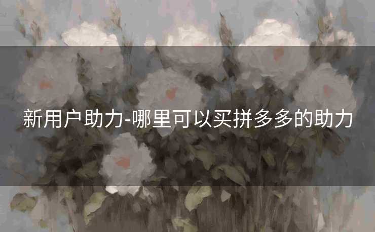 新用户助力-哪里可以买拼多多的助力