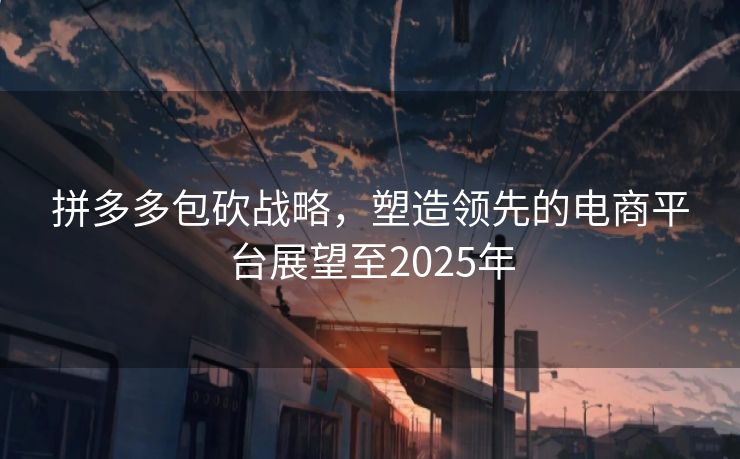 拼多多包砍战略，塑造领先的电商平台展望至2025年