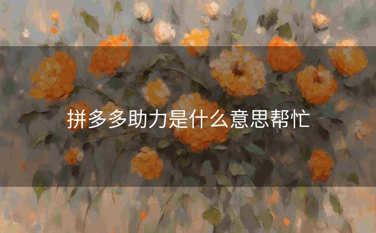 拼多多助力是什么意思帮忙