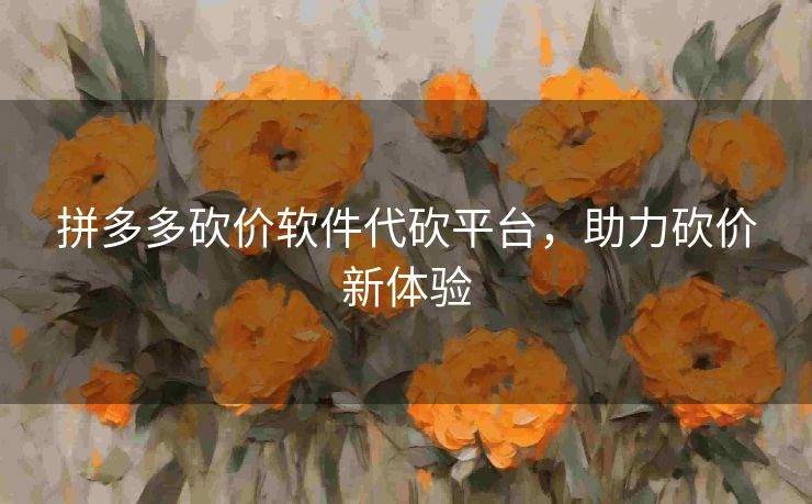 拼多多砍价软件代砍平台，助力砍价新体验