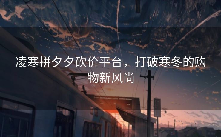 凌寒拼夕夕砍价平台，打破寒冬的购物新风尚