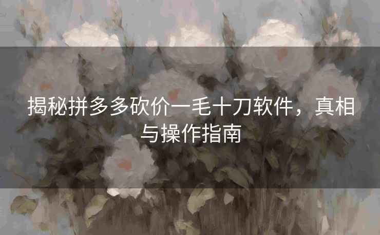 揭秘拼多多砍价一毛十刀软件，真相与操作指南