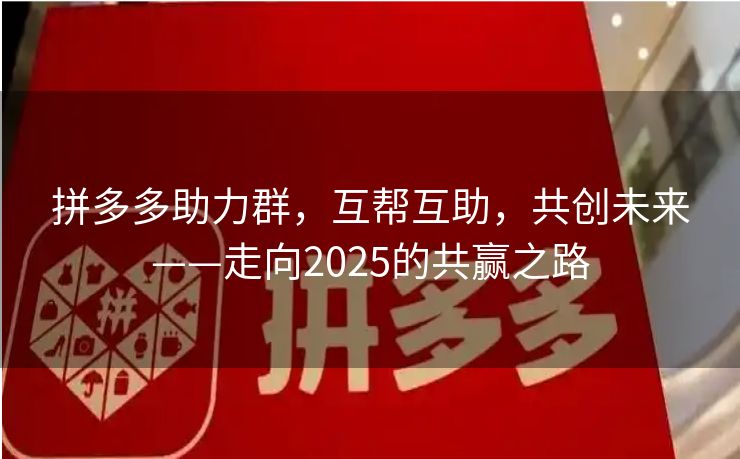 拼多多助力群，互帮互助，共创未来——走向2025的共赢之路
