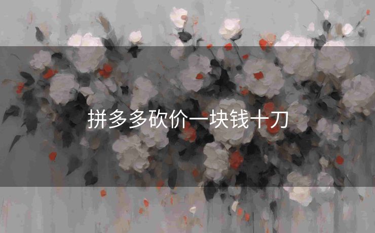 拼多多砍价一块钱十刀