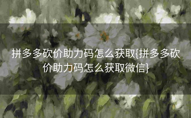 拼多多砍价助力码怎么获取{拼多多砍价助力码怎么获取微信}