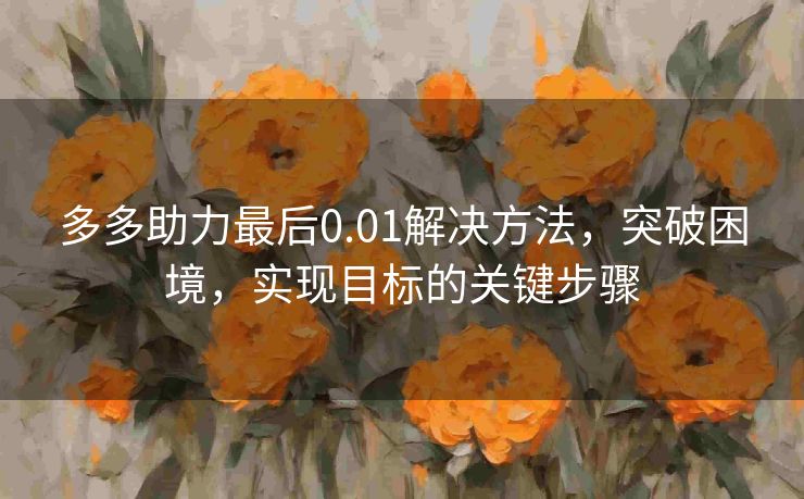 多多助力最后0.01解决方法，突破困境，实现目标的关键步骤