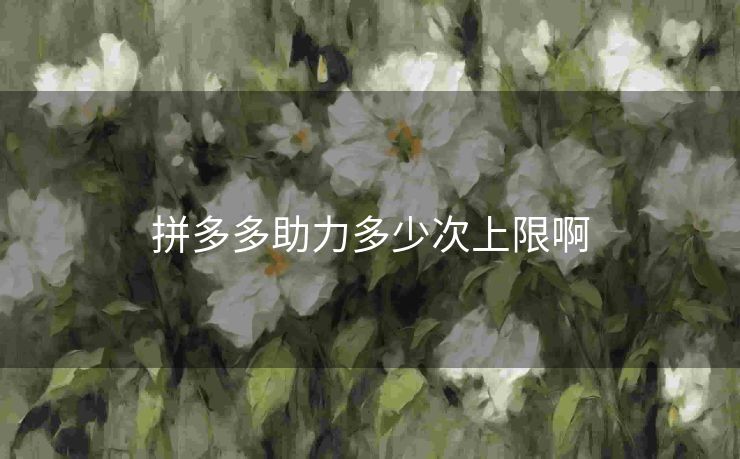 拼多多助力多少次上限啊