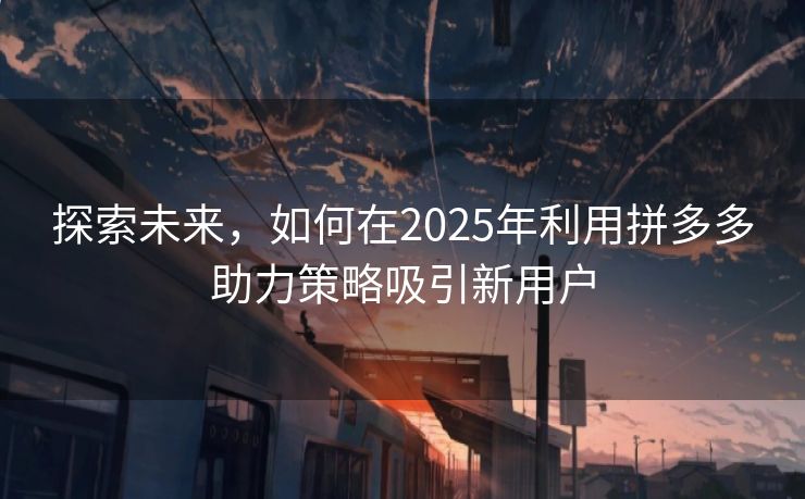 探索未来，如何在2025年利用拼多多助力策略吸引新用户