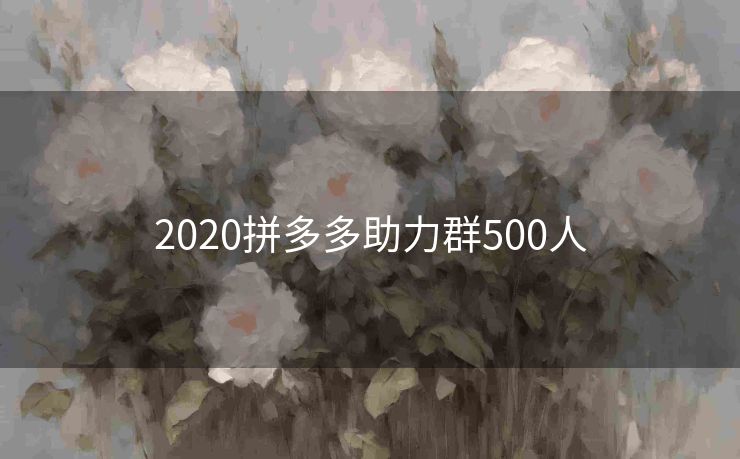 2020拼多多助力群500人