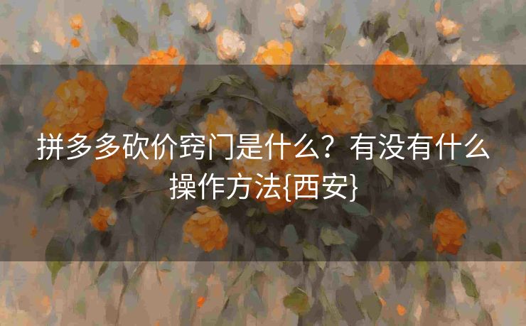 拼多多砍价窍门是什么？有没有什么操作方法{西安}