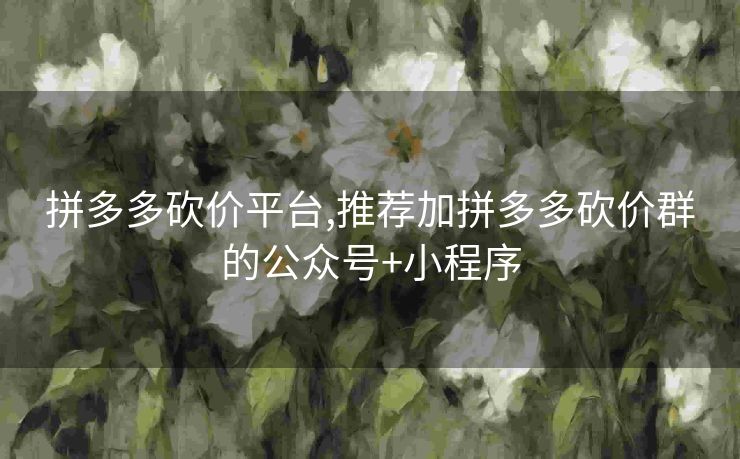 拼多多砍价平台,推荐加拼多多砍价群的公众号+小程序