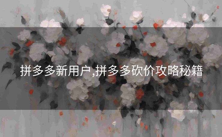 拼多多新用户,拼多多砍价攻略秘籍