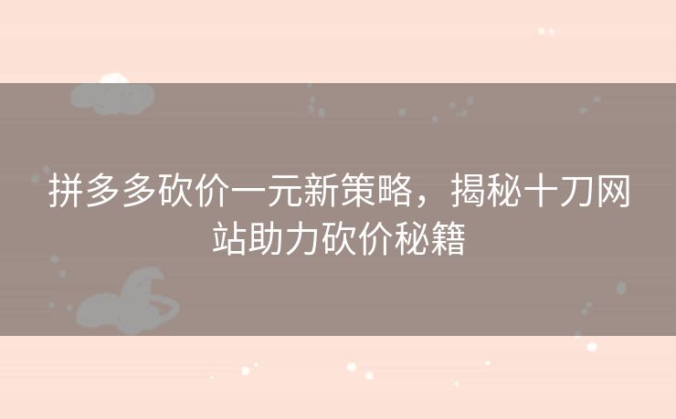 拼多多砍价一元新策略，揭秘十刀网站助力砍价秘籍