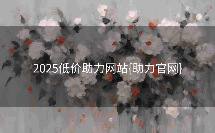 2025低价助力网站{助力官网}