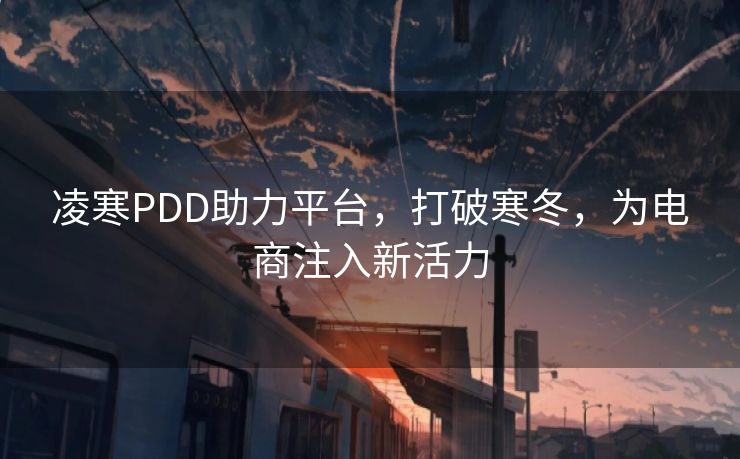 凌寒PDD助力平台，打破寒冬，为电商注入新活力
