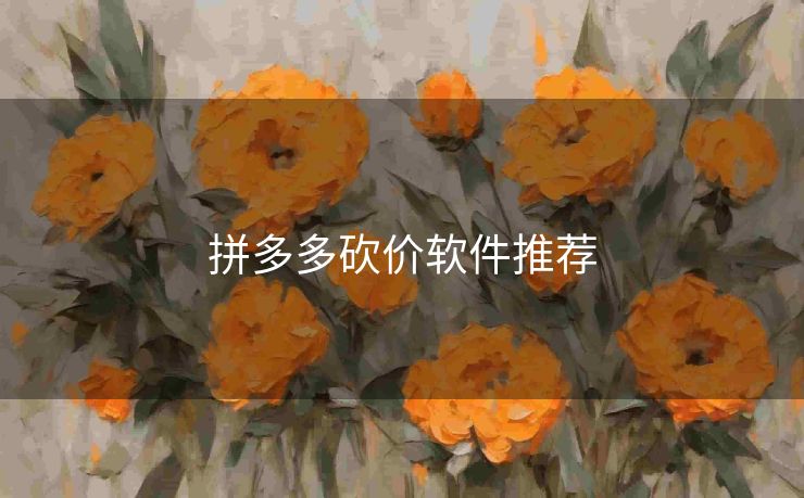 拼多多砍价软件推荐