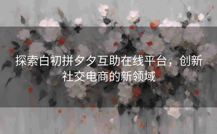 探索白初拼夕夕互助在线平台，创新社交电商的新领域