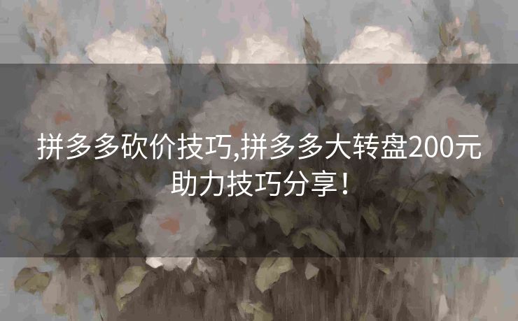 拼多多砍价技巧,拼多多大转盘200元助力技巧分享！