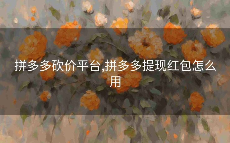 拼多多砍价平台,拼多多提现红包怎么用