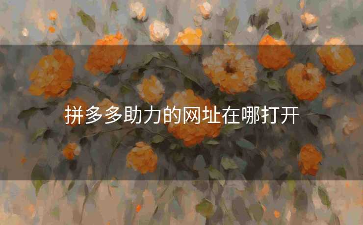 拼多多助力的网址在哪打开