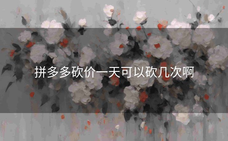 拼多多砍价一天可以砍几次啊