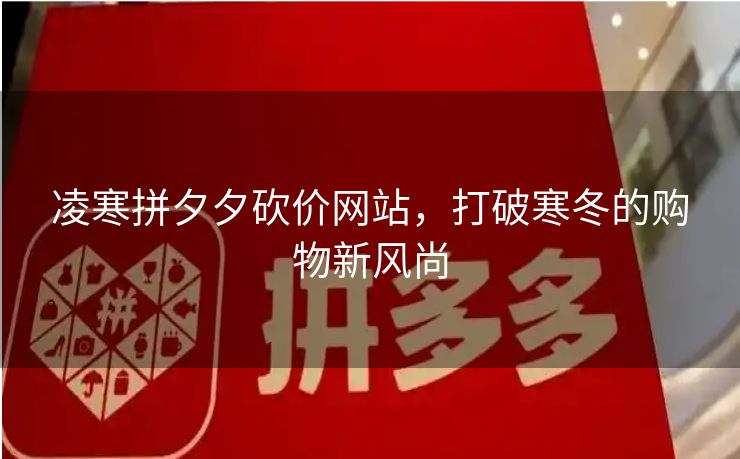 凌寒拼夕夕砍价网站，打破寒冬的购物新风尚