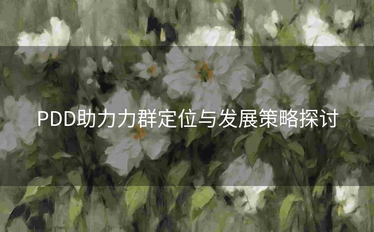PDD助力力群定位与发展策略探讨